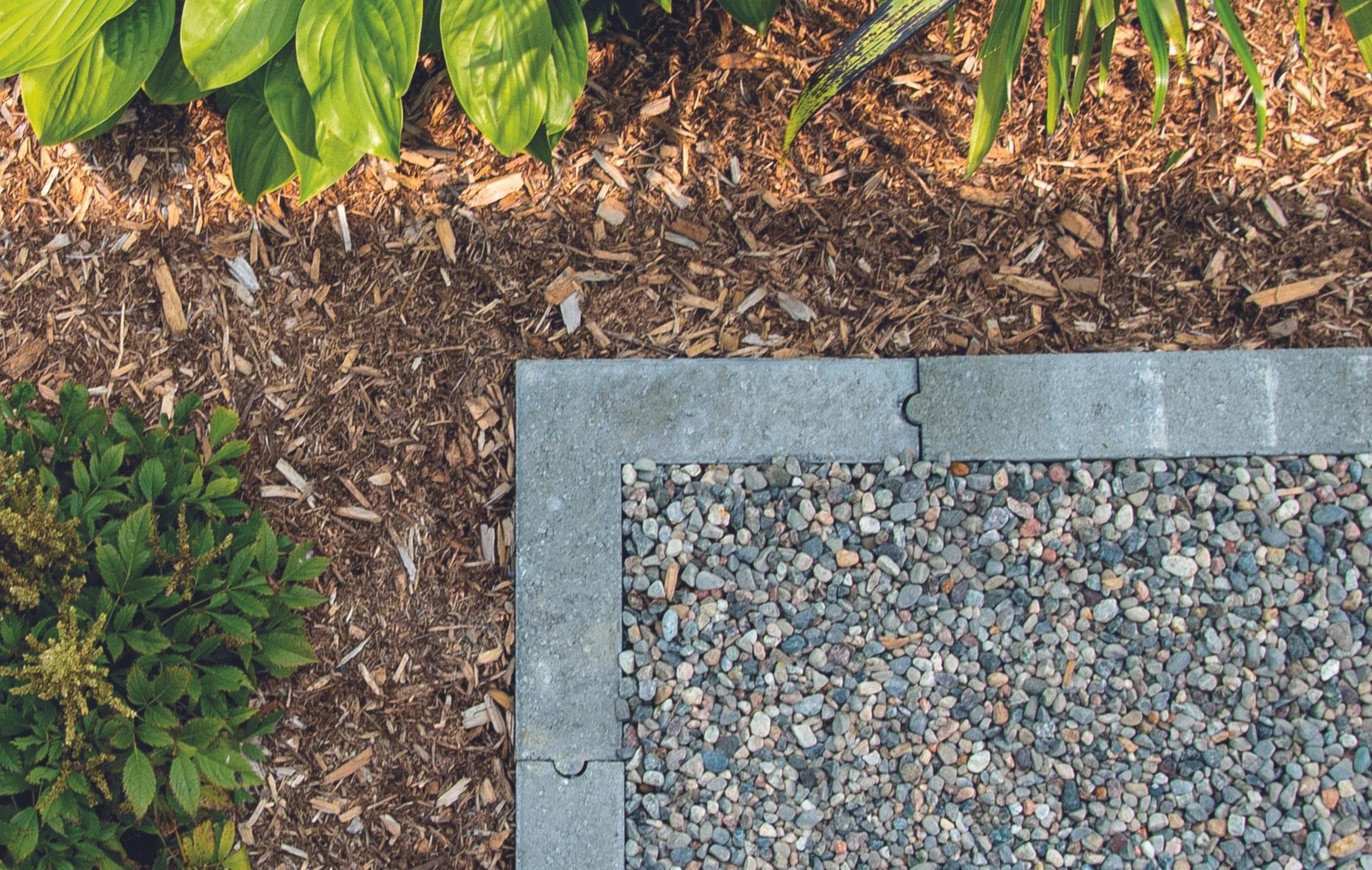 Catalog's header image Catalog's header image