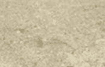 URMA - Beige Sand