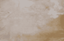 JJ - Beige Portobello