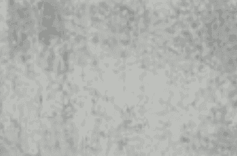 PAVOSVS - Prestige Mist